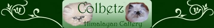 Top Banner