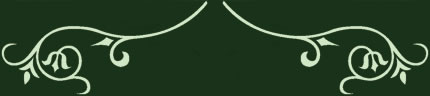 dividing line