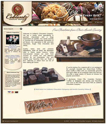 Screenshot of website